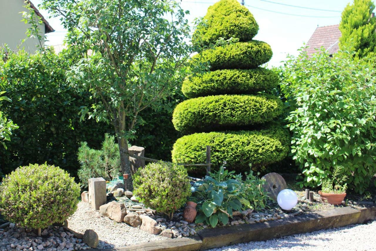 Gite Au Centre De L'Alsace Scherwiller Экстерьер фото