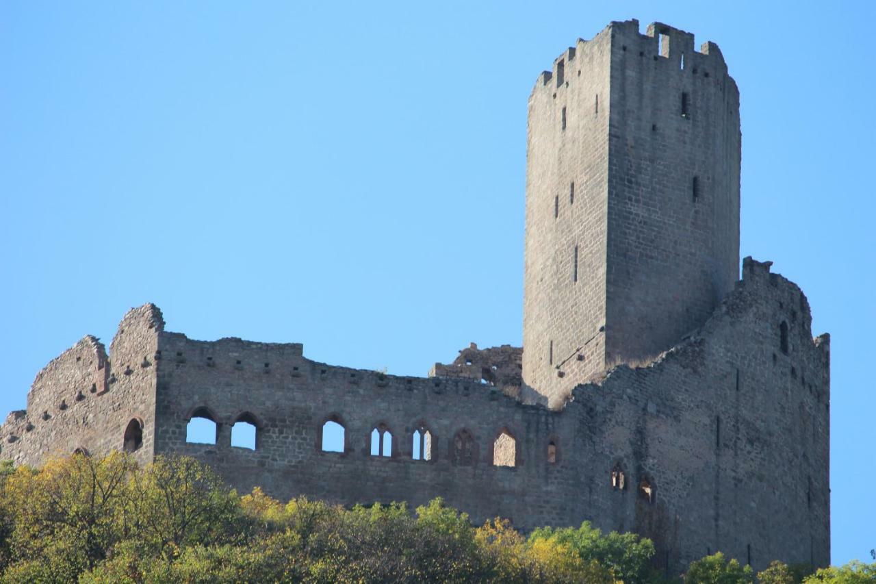 Gite Au Centre De L'Alsace Scherwiller Экстерьер фото