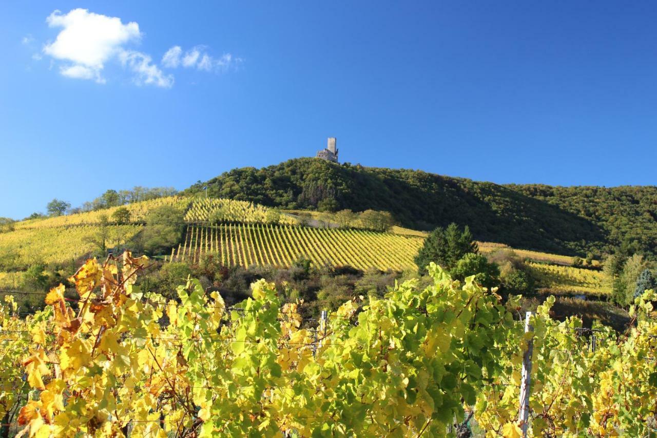 Gite Au Centre De L'Alsace Scherwiller Экстерьер фото