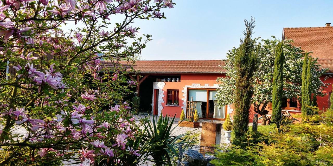 Gite Au Centre De L'Alsace Scherwiller Экстерьер фото