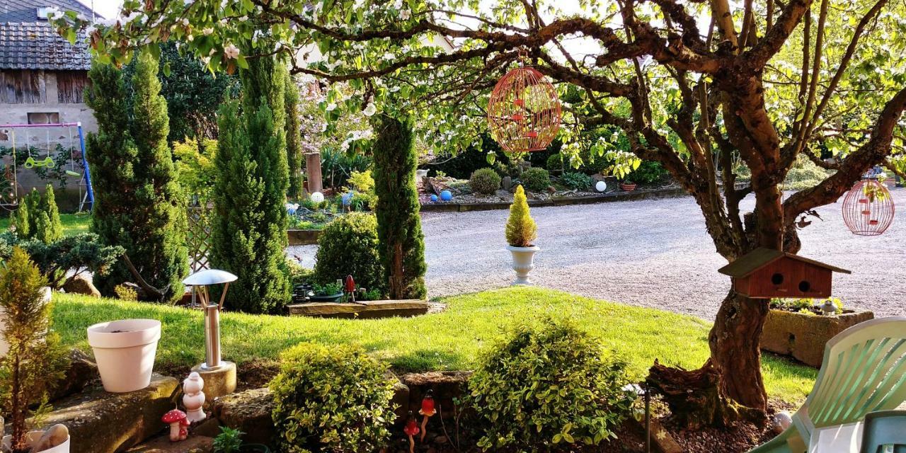 Gite Au Centre De L'Alsace Scherwiller Экстерьер фото